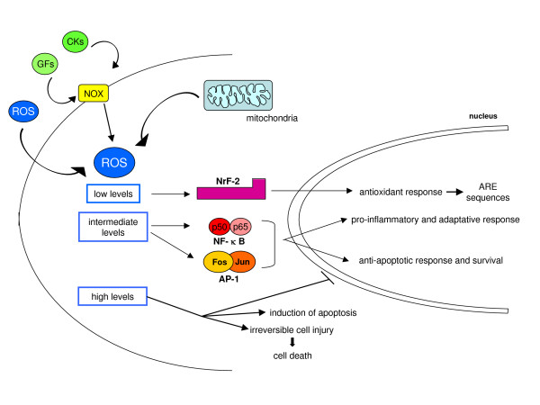 Figure 19