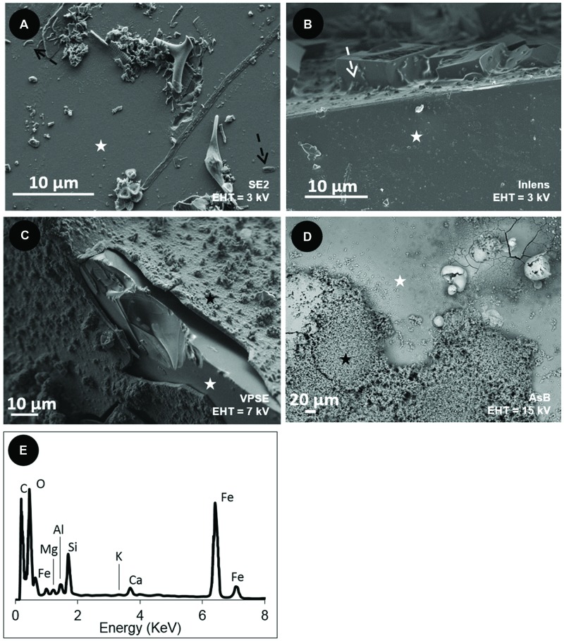 FIGURE 4