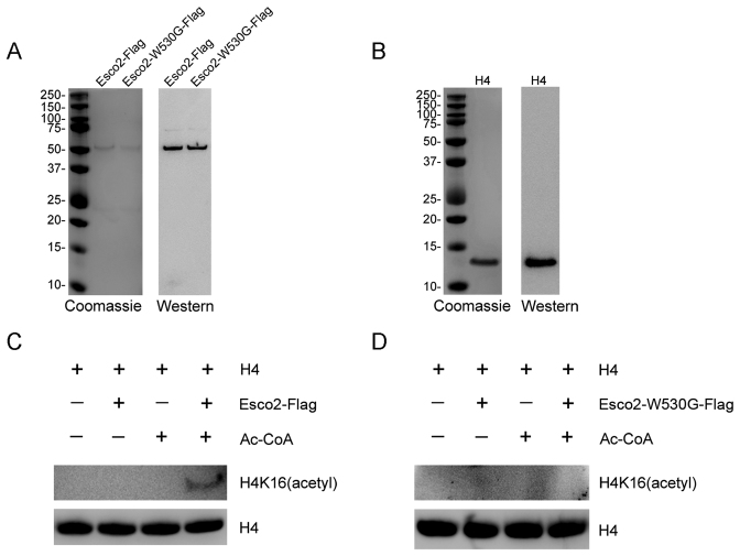 Figure 7.