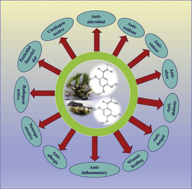 Fig. 2