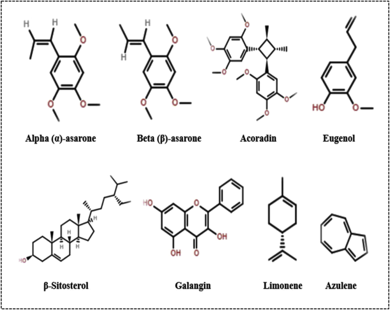 Fig. 1