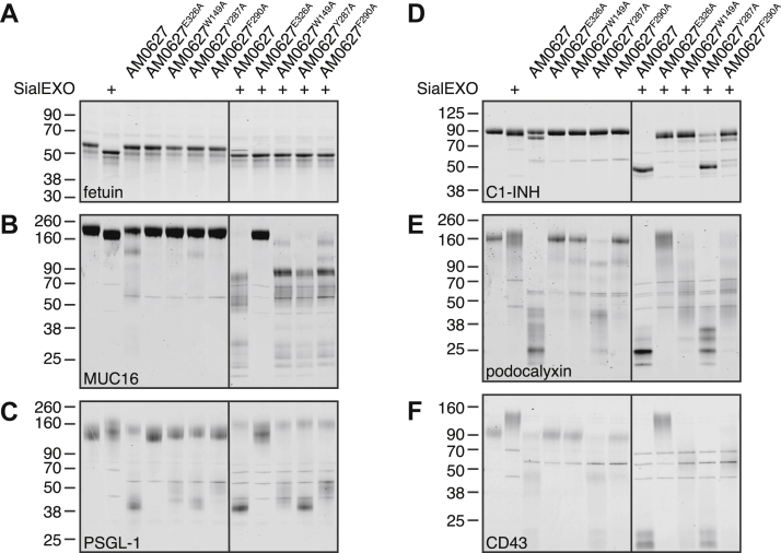 Figure 4