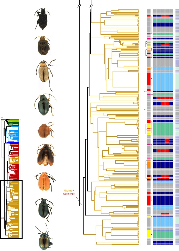 Fig 3