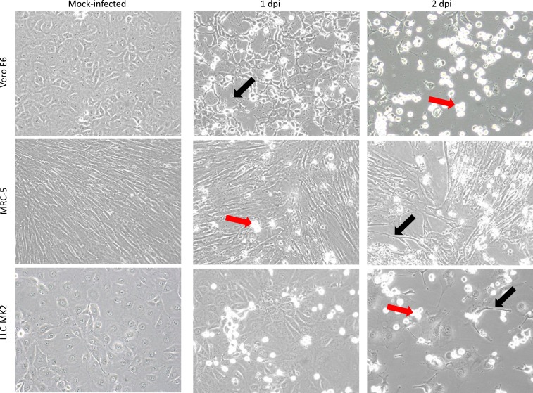 Figure 3.