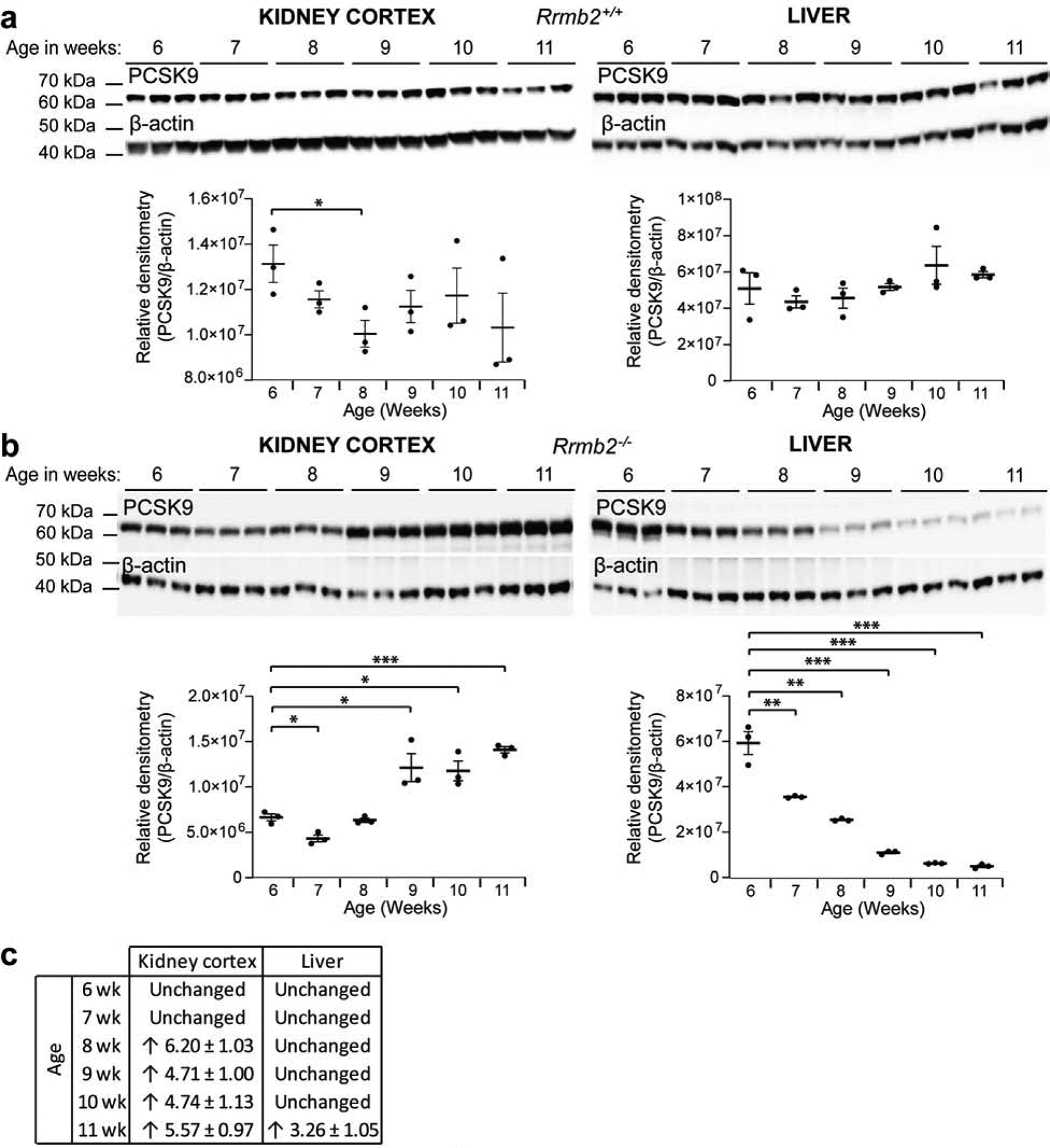 Figure 6: