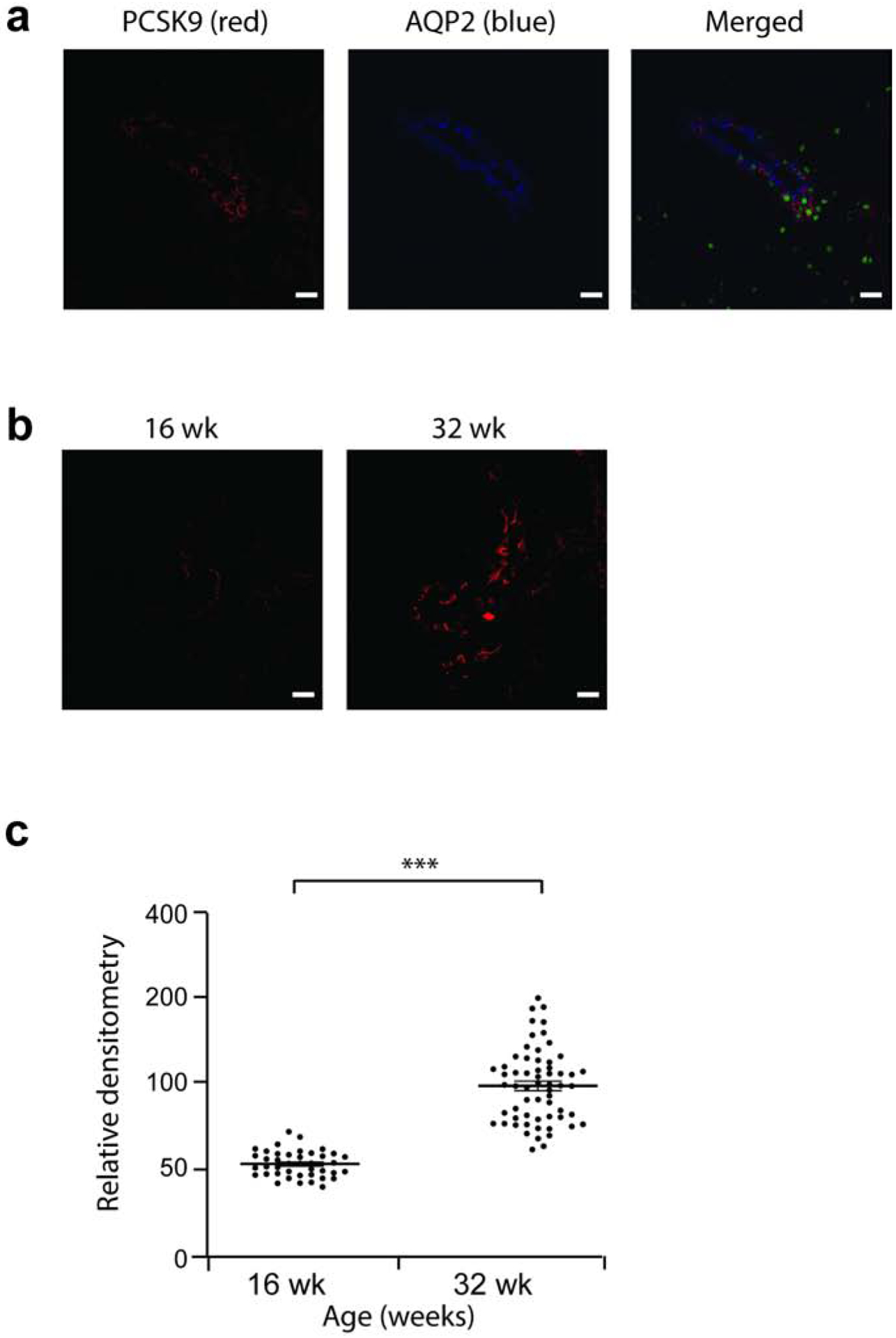 Figure 3: