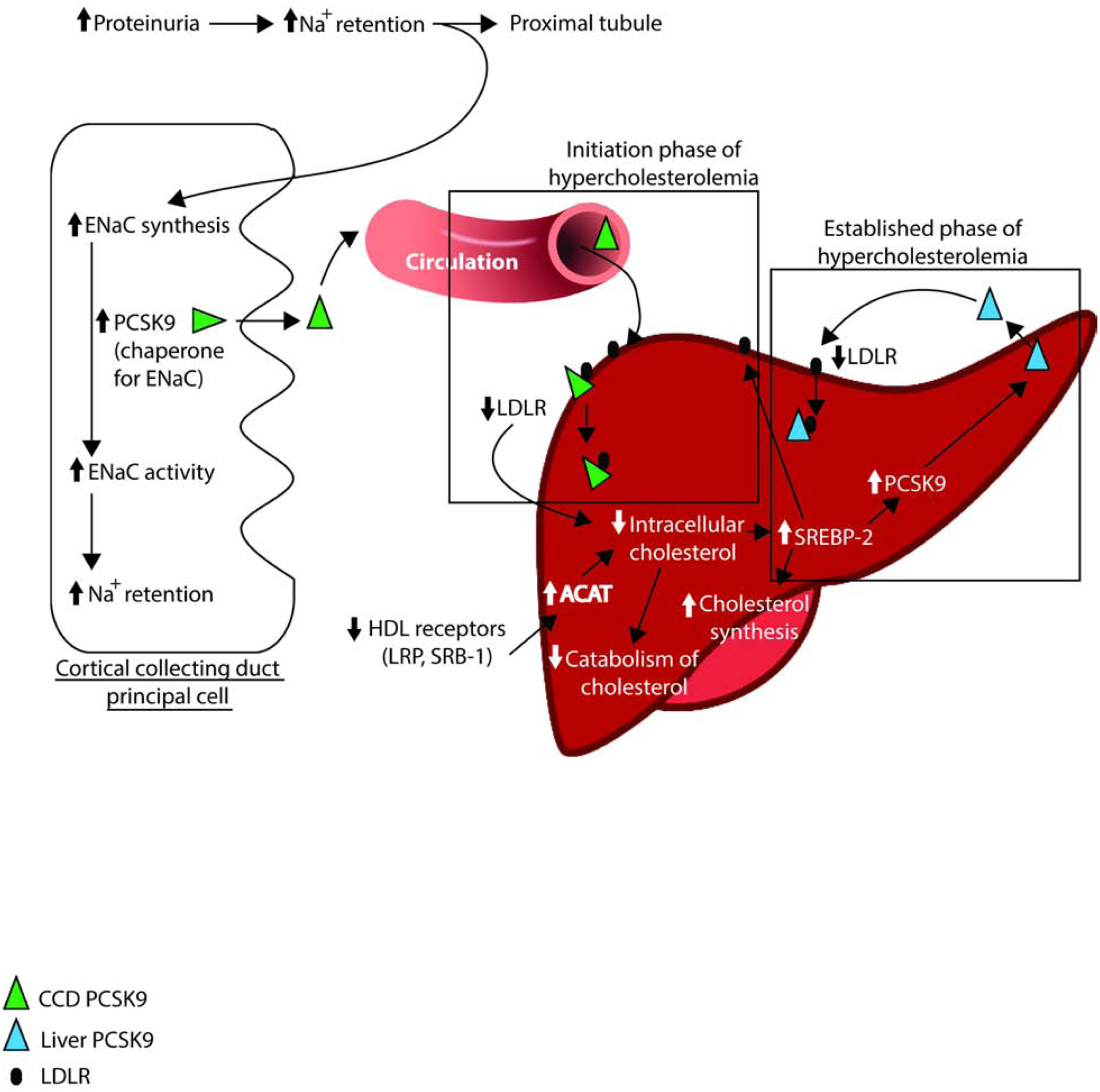 Figure 10: