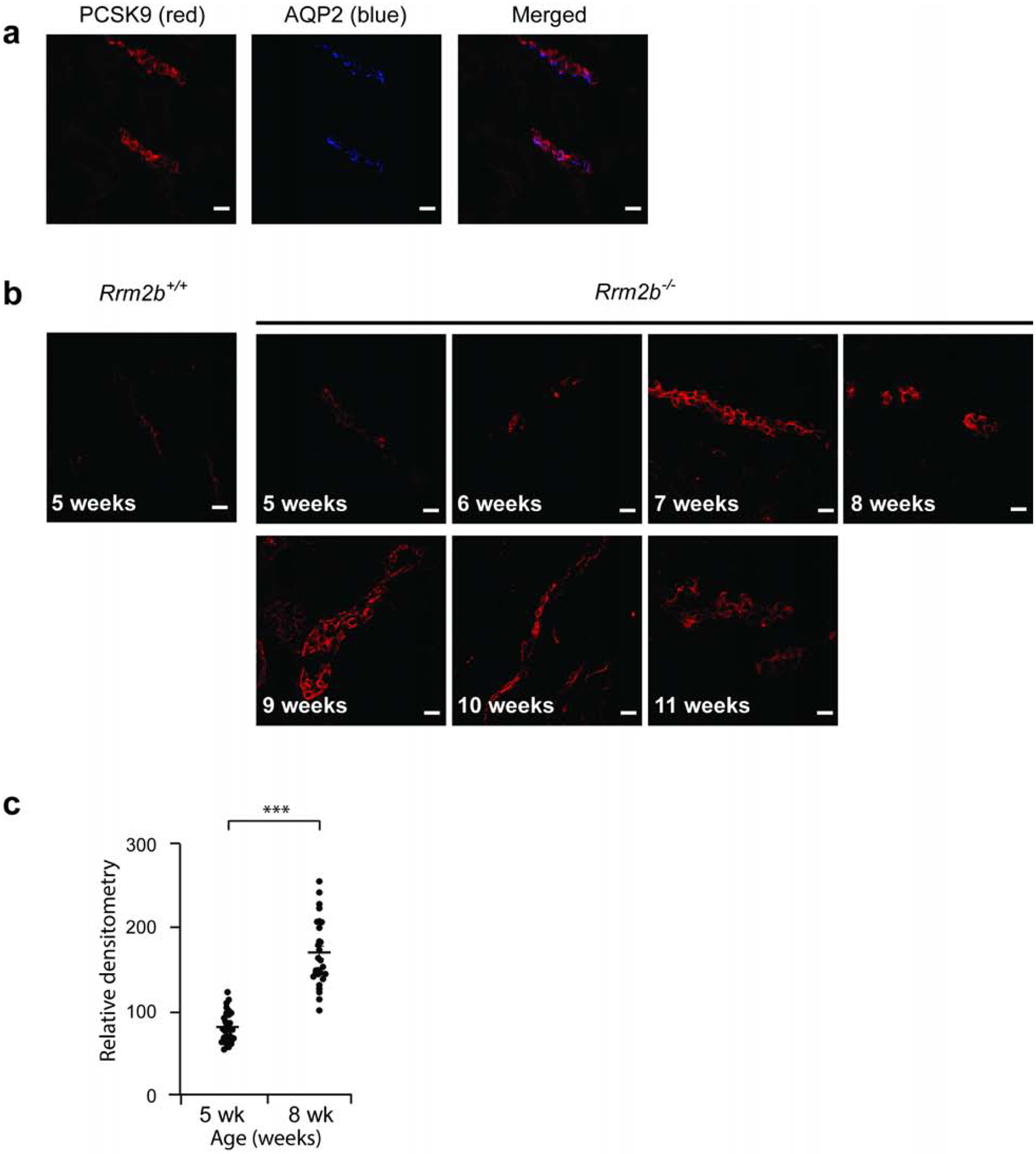 Figure 2: