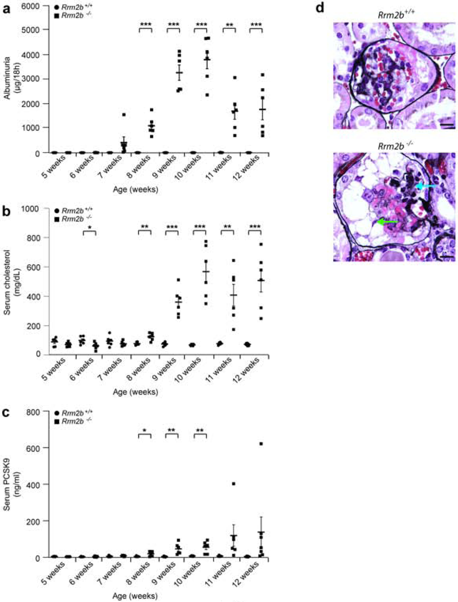 Figure 4: