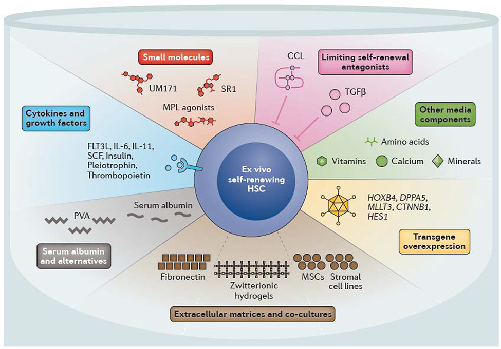 Figure 3 |