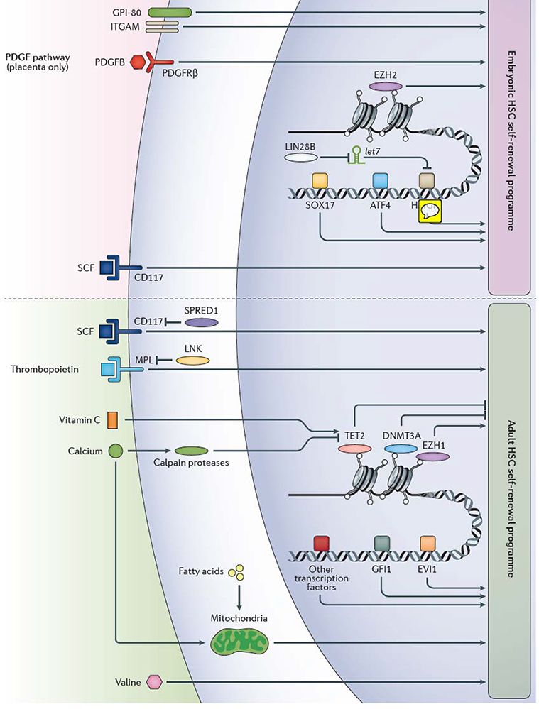 Figure 2 |