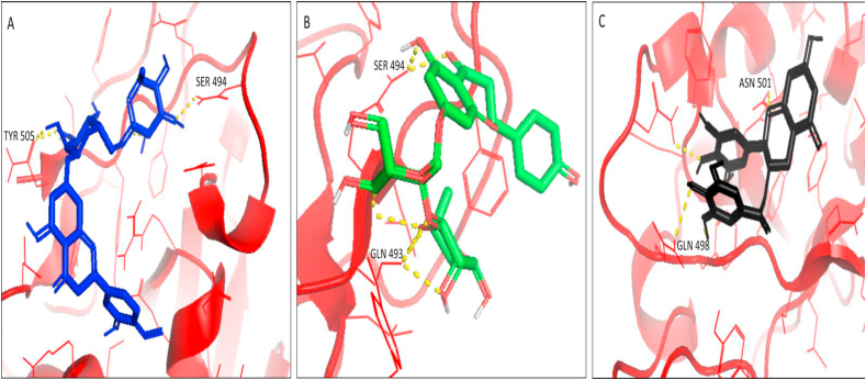 Figure 4