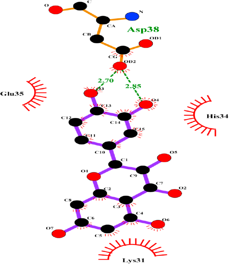 Figure 7