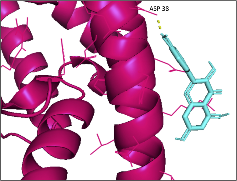 Figure 6