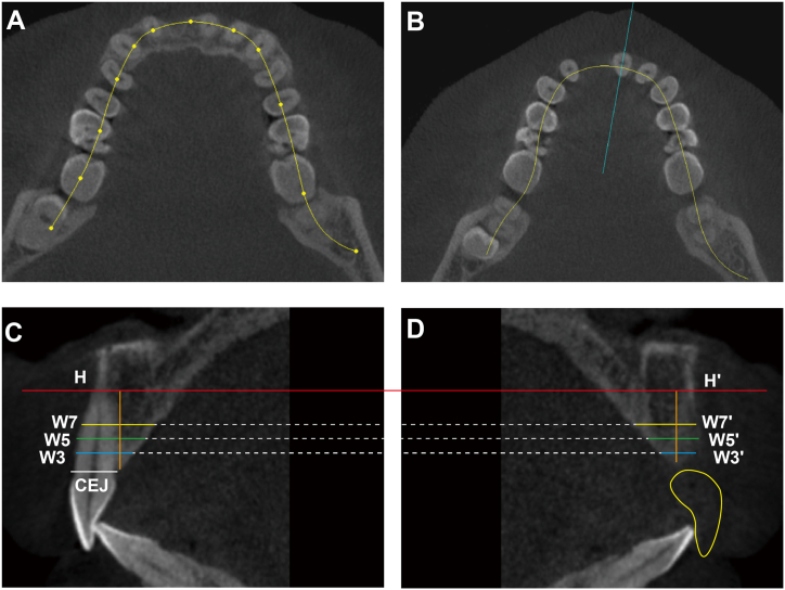 Fig. 2