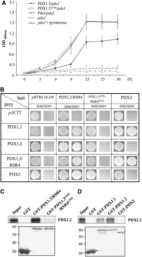 Figure 5.