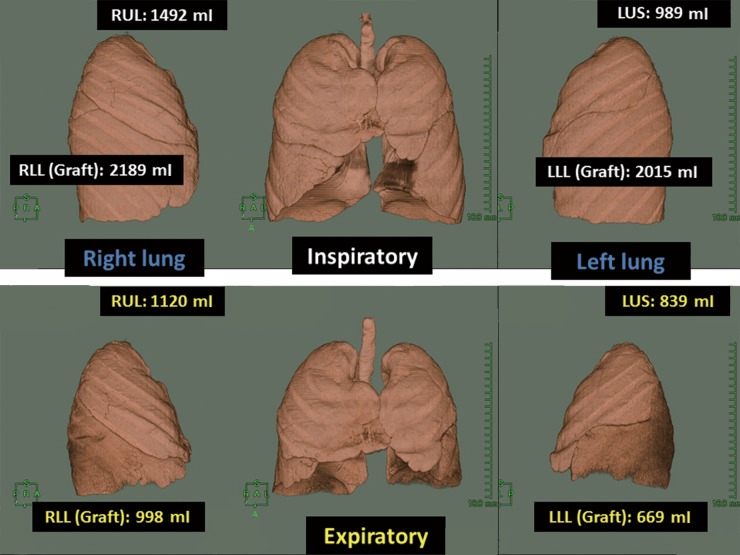 Figure 1: