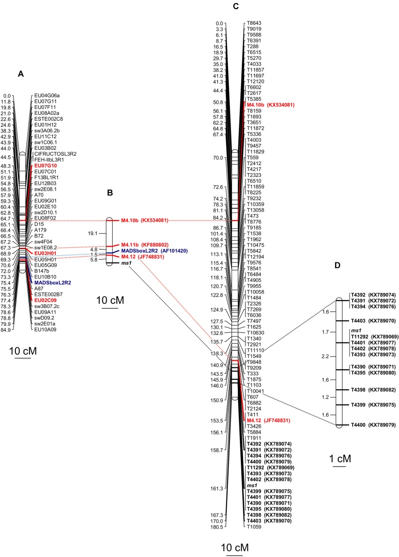 FIGURE 2