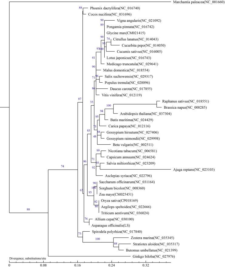 Figure 4