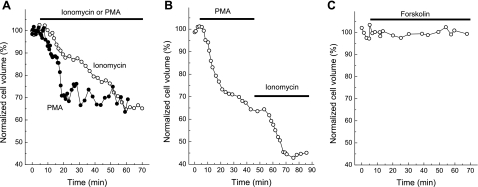 Fig. 4.