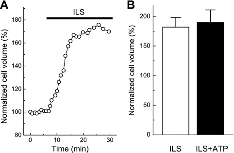 Fig. 6.