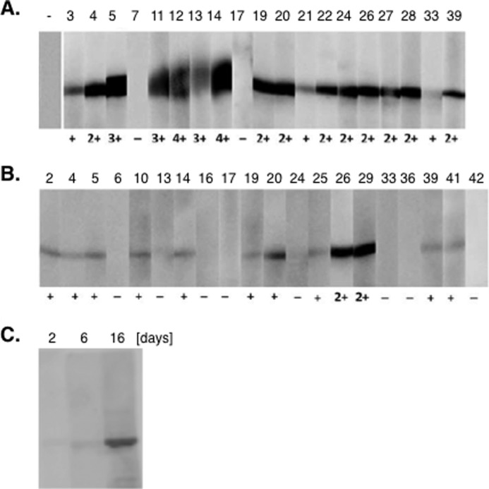 FIGURE 9.