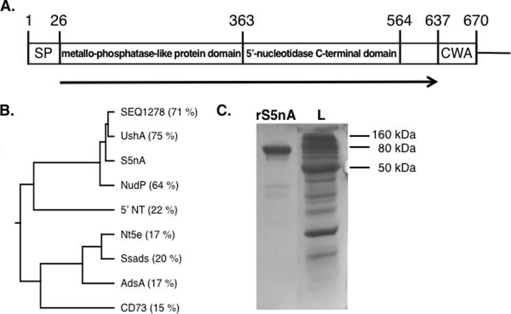 FIGURE 1.