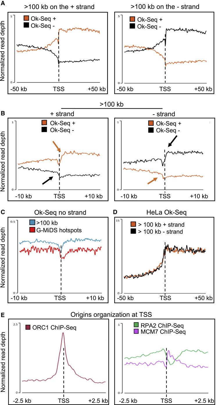 Figure 5