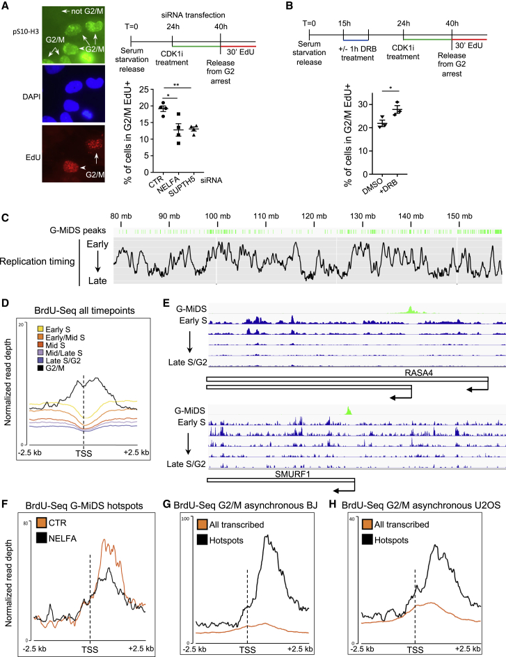 Figure 4