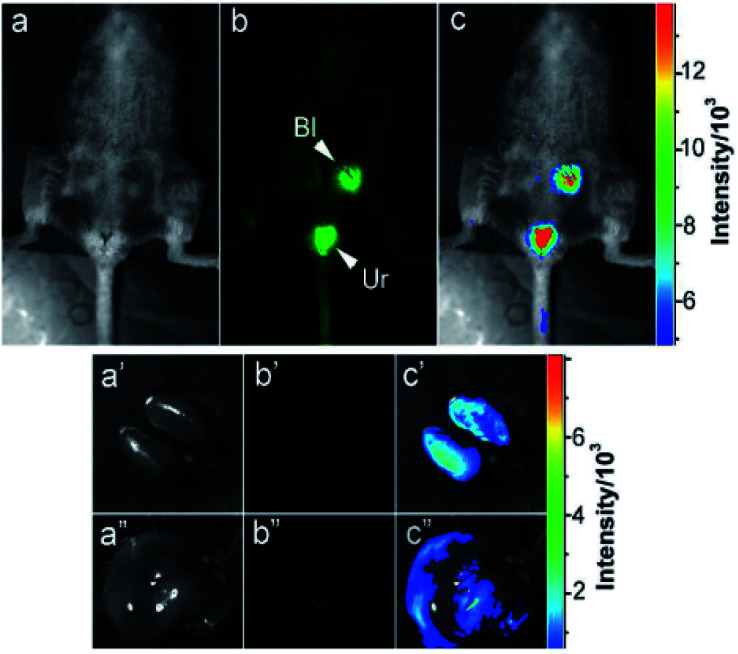 Fig. 23