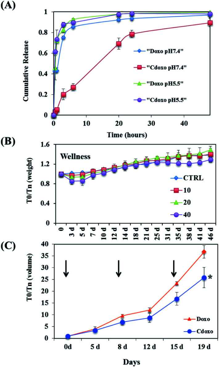 Fig. 31