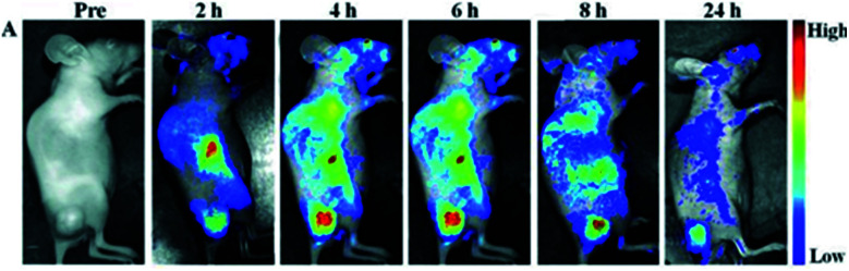 Fig. 35