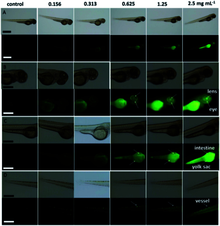 Fig. 26