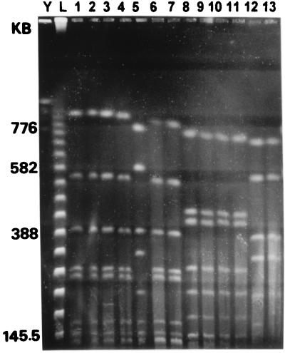 FIG. 1