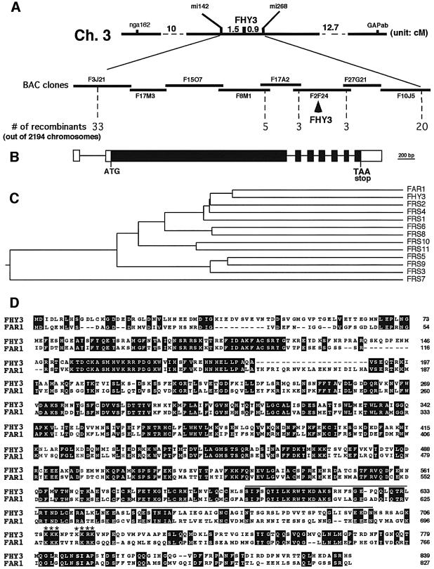 graphic file with name cdf139f4.jpg