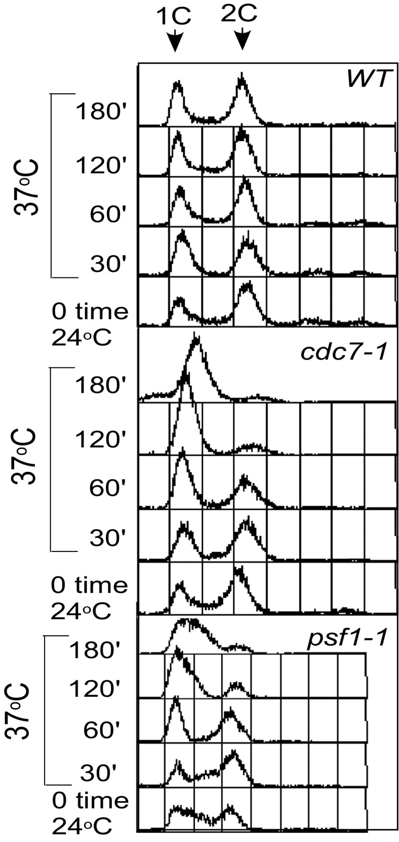 Fig. S1.