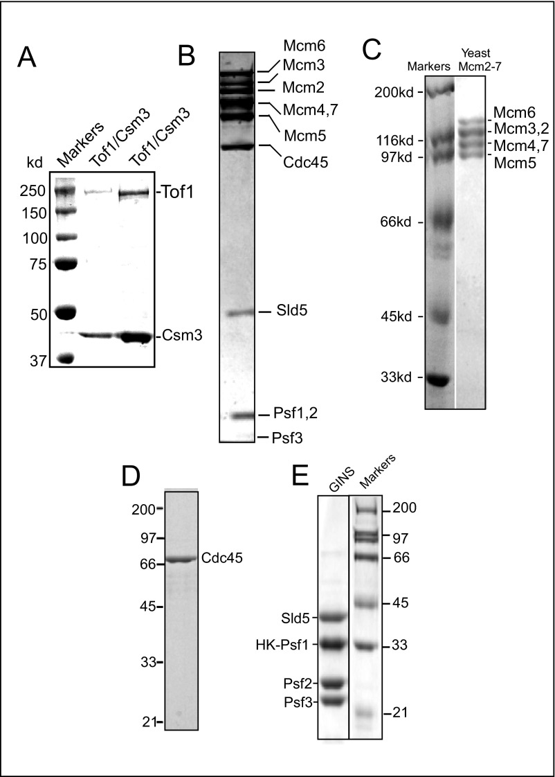 Fig. S3.