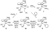 Scheme 4