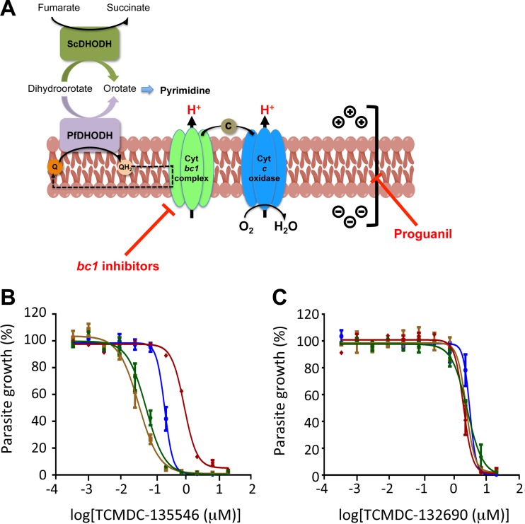 FIG 3