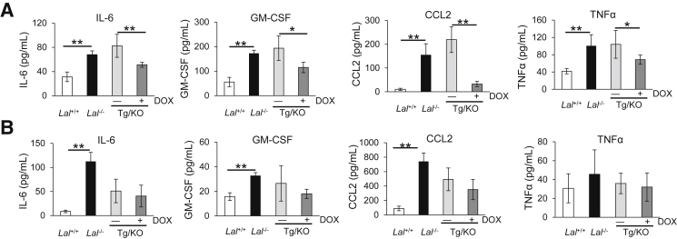 Figure 4