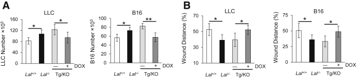 Figure 6