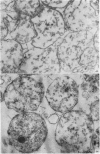 186-1
