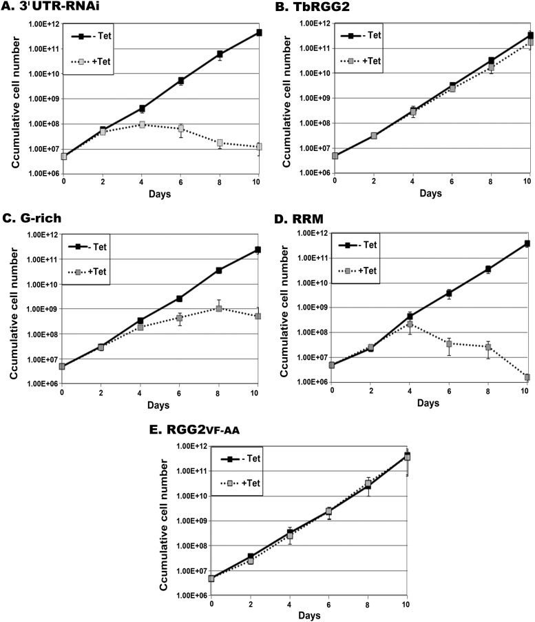 Fig 5