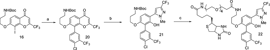 Scheme 5: