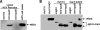FIG. 11.
