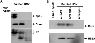 FIG. 10.