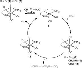 Scheme 2