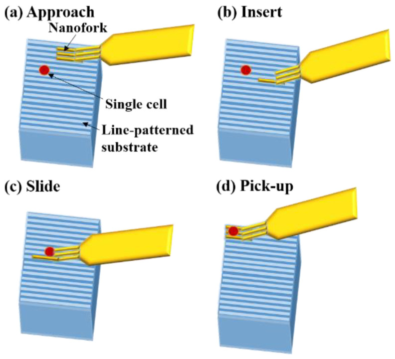 Figure 13