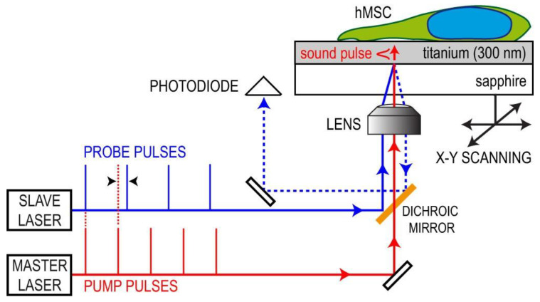 Figure 18