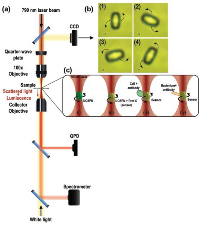 Figure 19